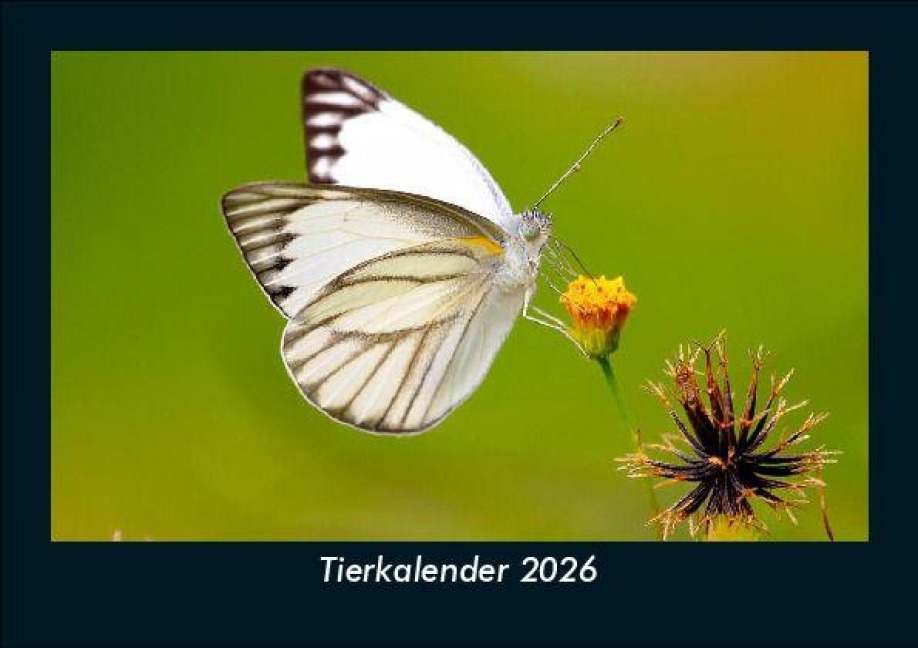 Tierkalender 2026 Fotokalender DIN A5 - Tobias Becker