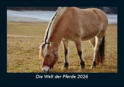 Cover-Bild zum Titel 'Die Welt der Pferde 2026 Fotokalender DIN A5' von 'Tobias Becker'