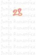 Cover-Bild zum Titel 'Junjo Romantica 28' von 'Shungiku Nakamura'