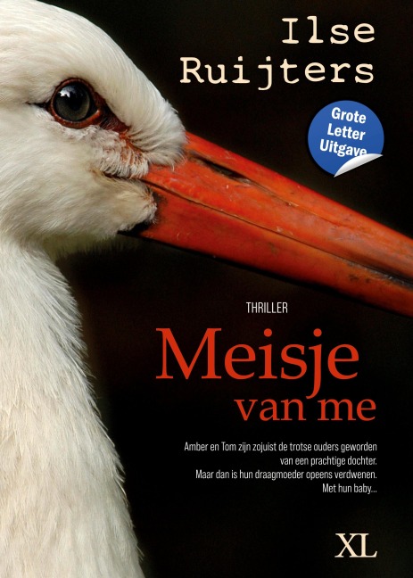 Meisje van me - Ilse Ruijters