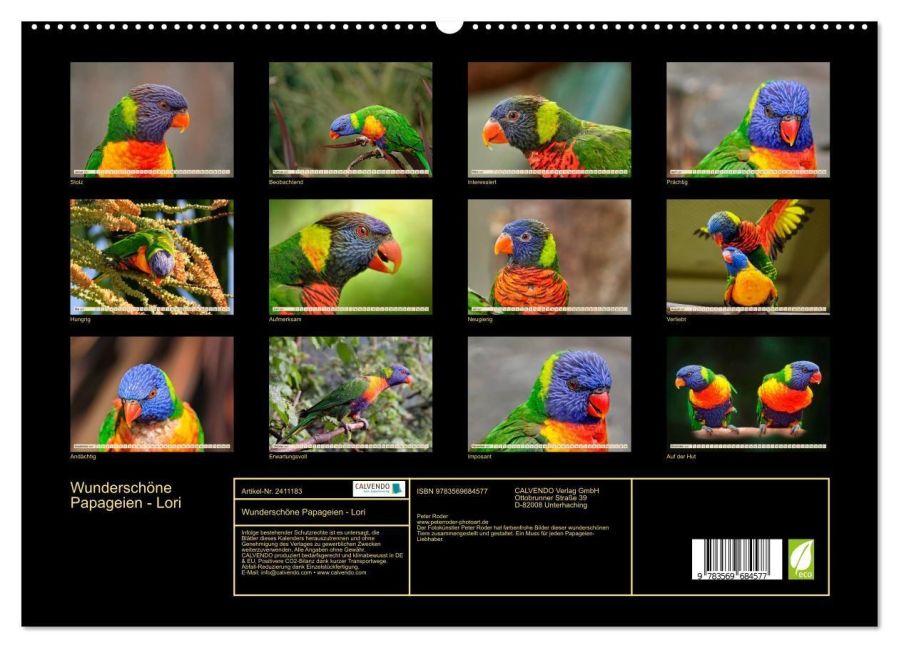 InsideView 4