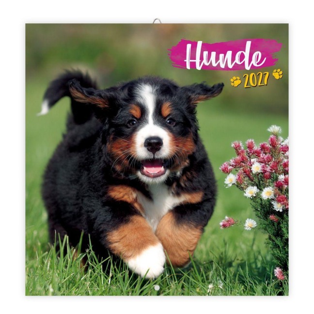 TRÖTSCH - Broschürenkalender Hunde 2027 - 