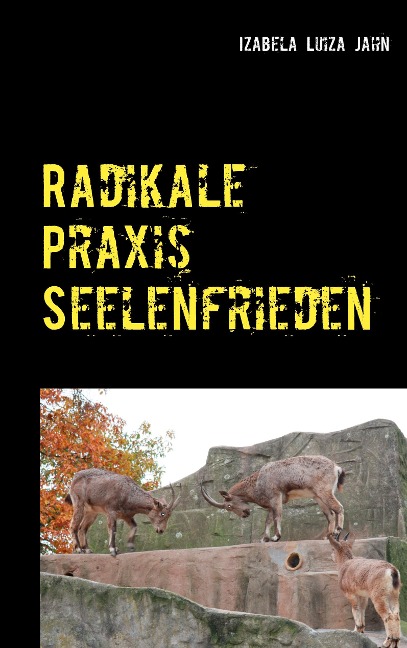 Radikale Praxis Seelenfrieden - Izabela Luiza Jahn