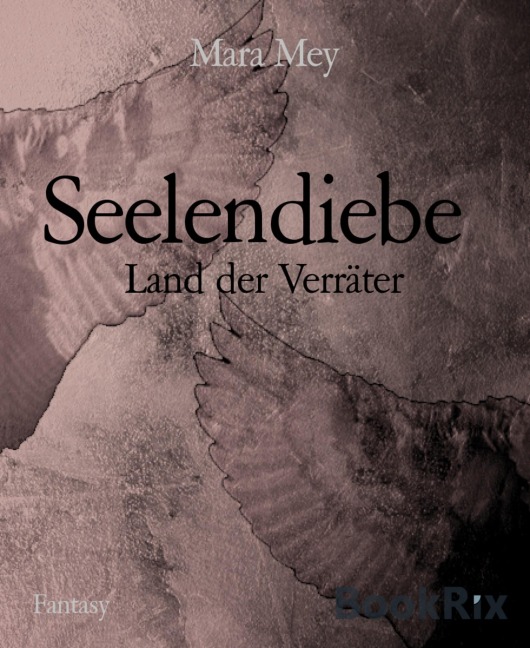 Seelendiebe - Mara Mey
