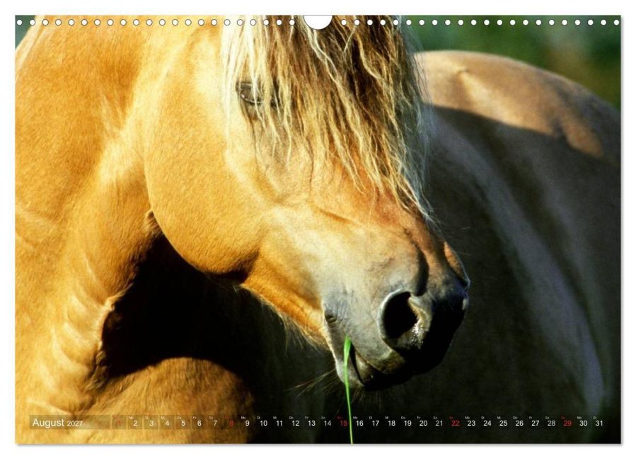InsideView 13