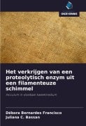 Cover-Bild zum Titel 'Het verkrijgen van een proteolytisch enzym uit een filamenteuze schimmel' von 'Débora Bernardes Francisco, Juliana C. Bassan'