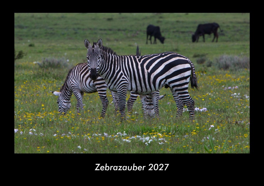Zebrazauber 2027 Fotokalender DIN A3 - Tobias Schmitt, Kevin Heber