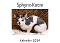Sphynx-Katze (Wandkalender 2024, Kalender DIN A4 quer, Monatskalender im Querformat mit Kalendarium, Das perfekte Geschenk) - Anna Müller