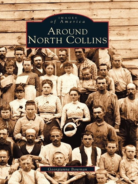 Around North Collins - Georgianne Bowman