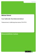 Cover-Bild zum Titel 'Gas haltende Kavitätenstruktur' von 'Michael Dienst'