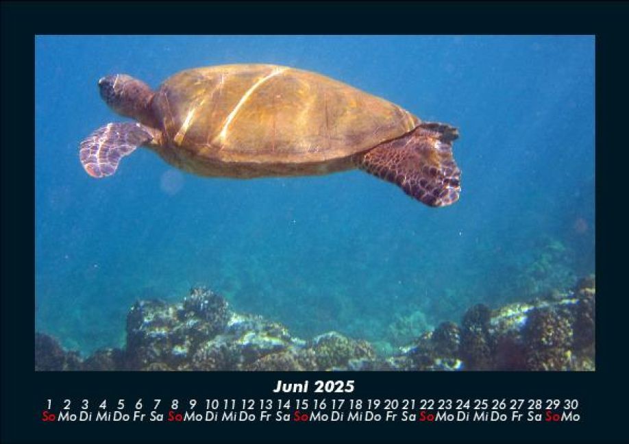 InsideView 10