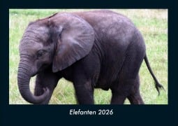Cover-Bild zum Titel 'Elefanten 2026 Fotokalender DIN A4' von 'Tobias Becker'