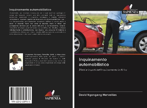 Inquinamento automobilistico - David Ngongang Merveilles