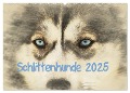 Schlittenhunde 2025 (Wandkalender 2025 DIN A2 quer), CALVENDO Monatskalender - Andrea Redecker