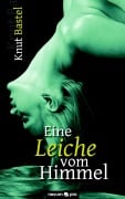 Cover-Bild zum Titel 'Eine Leiche vom Himmel' von 'Knut Bastel'