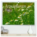 Arzneipflanzen (hochwertiger Premium Wandkalender 2024 DIN A2 quer), Kunstdruck in Hochglanz - LianeM LianeM