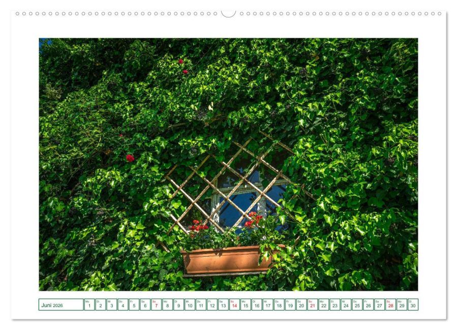 InsideView 11
