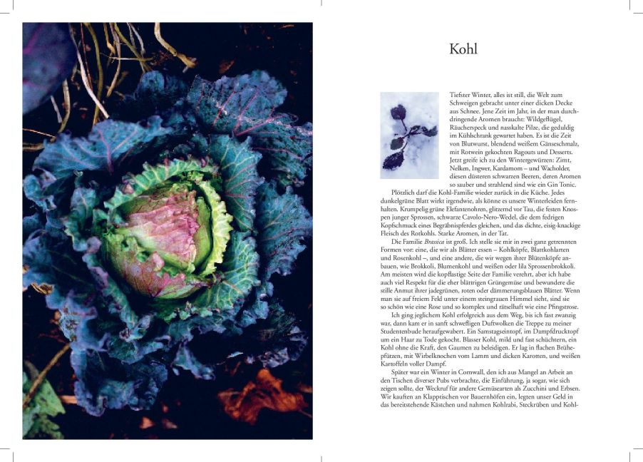 InsideView 7