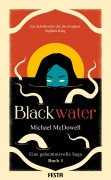 Cover-Bild zum Titel 'BLACKWATER - Eine geheimnisvolle Saga - Buch 3' von 'Michael Mcdowell'