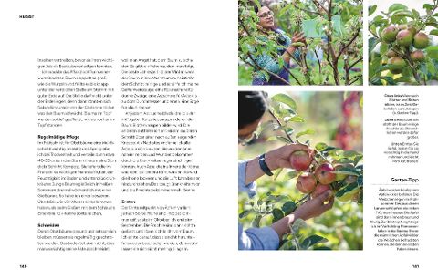 InsideView 8