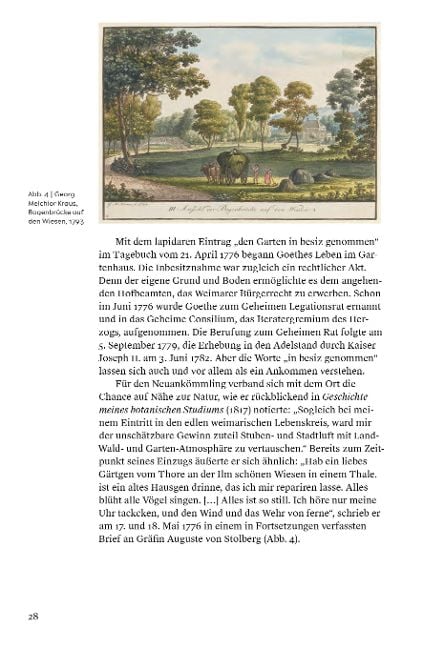 InsideView 8