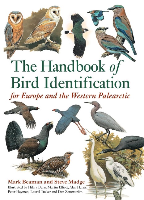 The Handbook of Bird Identification - Mark Beaman, Steve Madge
