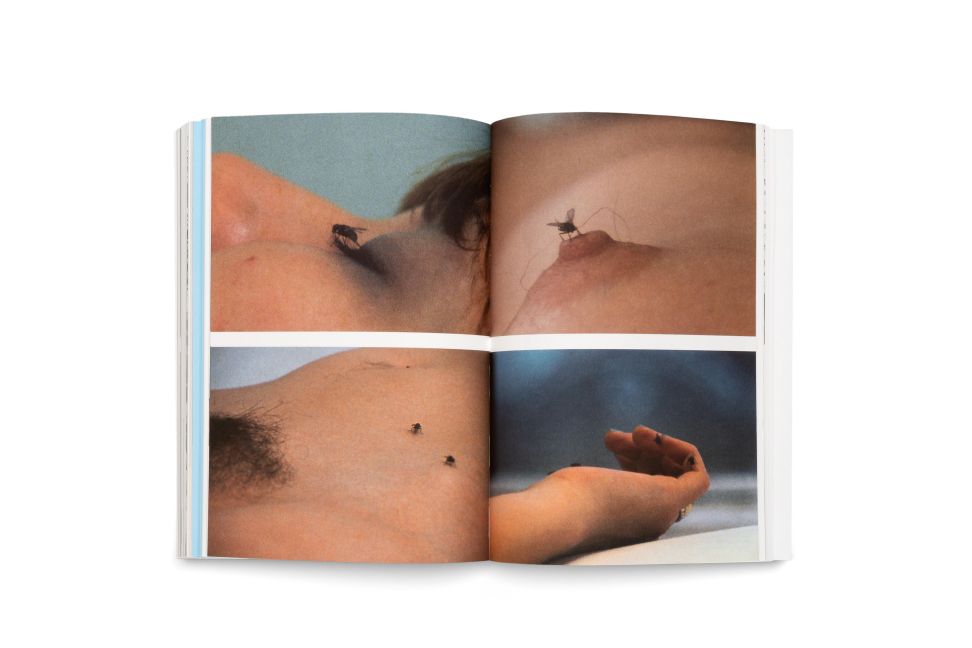 InsideView 22