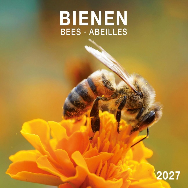 Bienen / Bees 2027 - 