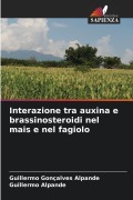 Cover-Bild zum Titel 'Interazione tra auxina e brassinosteroidi nel mais e nel fagiolo' von 'Guillermo Gonçalves Alpande, Guillermo Alpande'