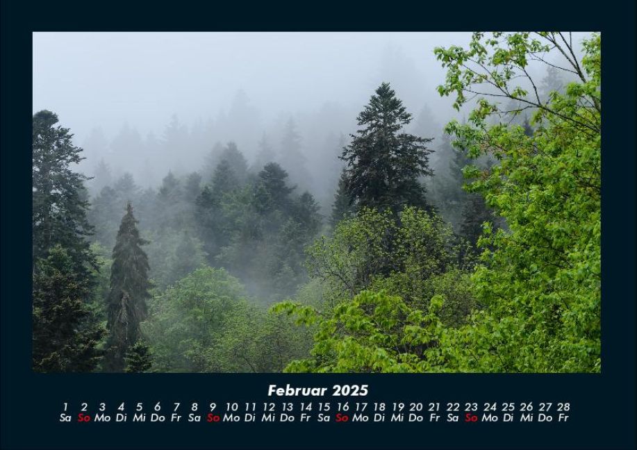 InsideView 6