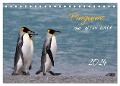 Pinguine aus aller Welt (Tischkalender 2024 DIN A5 quer), CALVENDO Monatskalender - Brigitte Schlögl