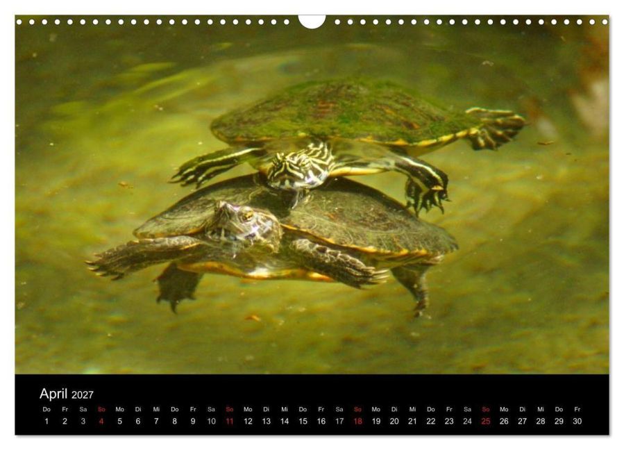 InsideView 9