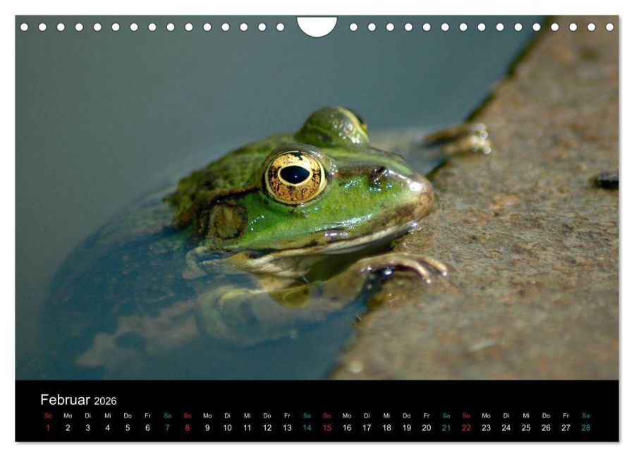 InsideView 7