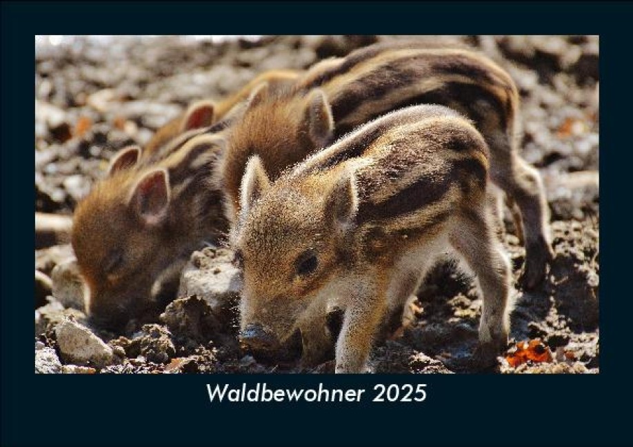 Waldbewohner 2025 Fotokalender DIN A5 - Tobias Becker