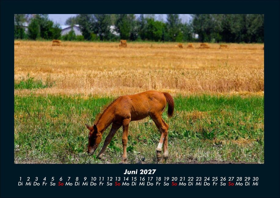 InsideView 10