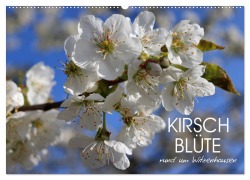 Kirschblüte rund um Witzenhausen (Wandkalender 2026 DIN A2 quer), CALVENDO Monatskalender - Sabine Löwer