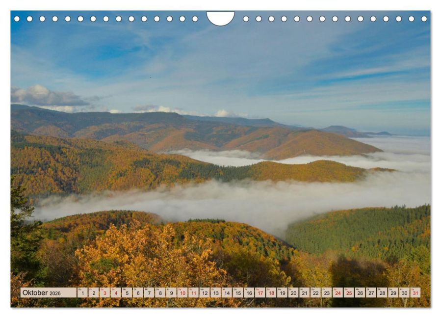 InsideView 2