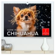 Chihuahua - kleine Energiebündel (hochwertiger Premium Wandkalender 2025 DIN A2 quer), Kunstdruck in Hochglanz - Peter Roder