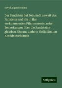 Der Sandstein bei Seinstedt unweit des Fallsteins und die in ihm vorkommenden Pflanzenreste, nebst Bemerkungen über die Sandsteine gleichen Niveaus anderer Örtlichkeiten Norddeutschlands - David August Brauns