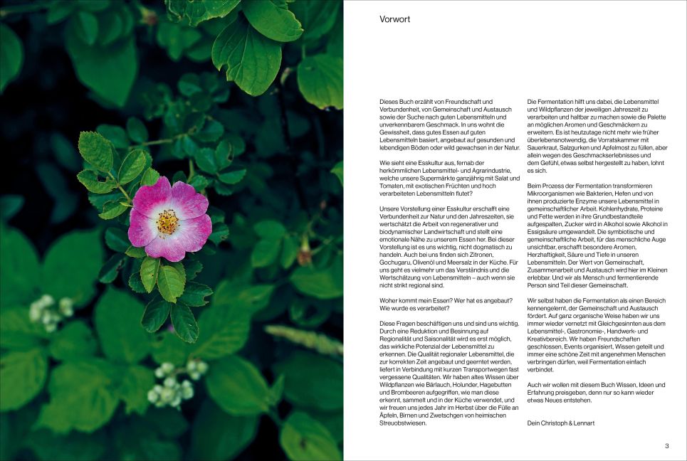 InsideView 1