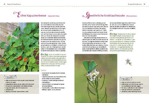 InsideView 6