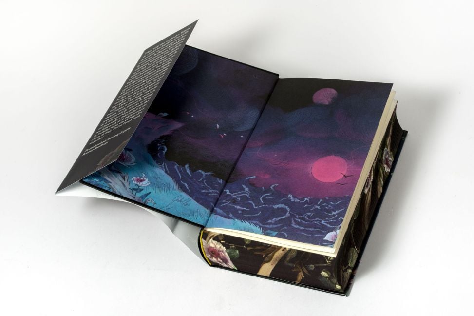 InsideView 5