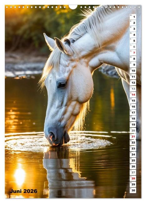 InsideView 11