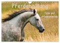 Pferdehaltung Tipps und Wissenswertes (Wandkalender 2024 DIN A4 quer), CALVENDO Monatskalender - Meike Bölts