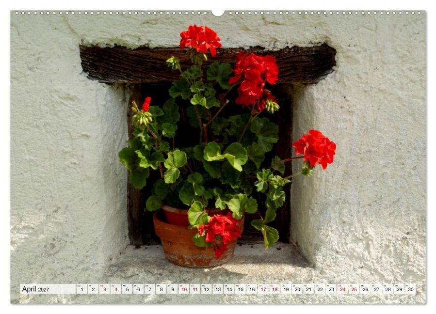 InsideView 8
