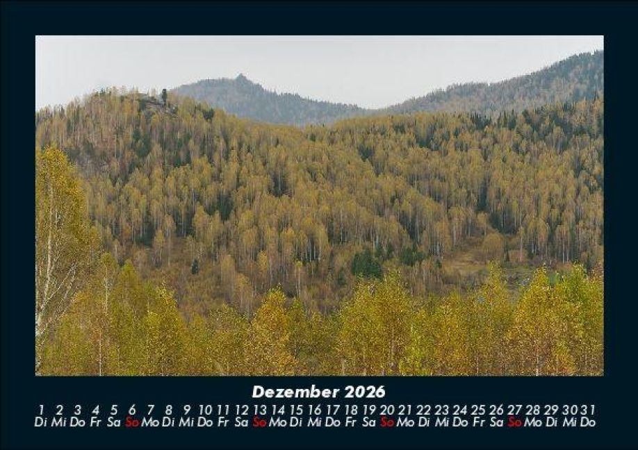 InsideView 4