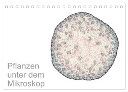 Cover-Bild zum Titel 'Pflanzen unter dem Mikroskop (Tischkalender 2026 DIN A5 quer), CALVENDO Monatskalender' von 'Martin Schreiter'