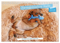 Cover-Bild zum Titel 'Zwergpinscher Sally's erstes Jahr (Tischkalender 2026 DIN A5 quer), CALVENDO Monatskalender' von 'Frank Elbe'