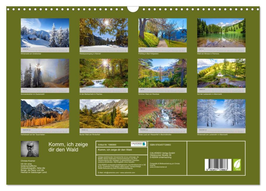 InsideView 5