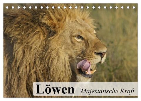 Löwen. Majestätische Kraft (Tischkalender 2025 DIN A5 quer), CALVENDO Monatskalender - Elisabeth Stanzer